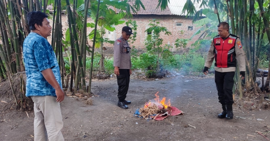 Polsek Balongbenda Gerebek Judi Sabung Ayam