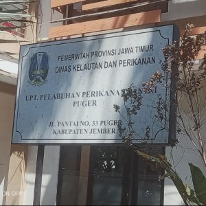 Penjualan Daging Jeroan Ayam di Pelabuhan Perikanan Puger Di Biarkan Disoal Warga