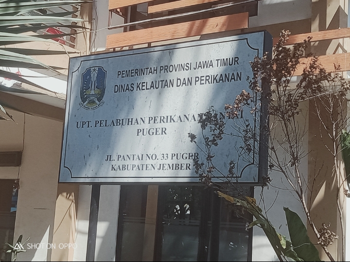 Penjualan Daging Jeroan Ayam di Pelabuhan Perikanan Puger Di Biarkan Disoal Warga