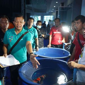 Nilai Koi Kabupaten Kediri Tembus Rp700 Miliar, Kontes Nasional Kembali Digelar
