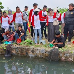 Ribuan Warga Kediri Berebut Lele di Festival Omah Sawah Ribuan Warga Kediri Berebut Lele di Festival Omah Sawah