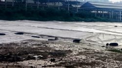 Sebabkan Bau Busuk dari Kandang Ayam, Warga Minta Pemkab Blitar Bertindak Tegas