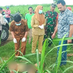 Mayat Tanpa Identitas di Lahan Tebu Gegerkan Warga Blitar