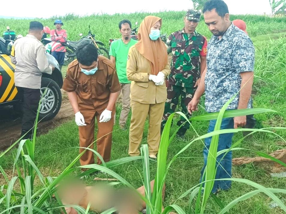 Mayat Tanpa Identitas di Lahan Tebu Gegerkan Warga Blitar