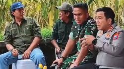 Wujudkan Ketahanan Pangan, Polres Blitar Gandeng CV Lang Buana Panen Jagung Jenis Unggul Kuartal III