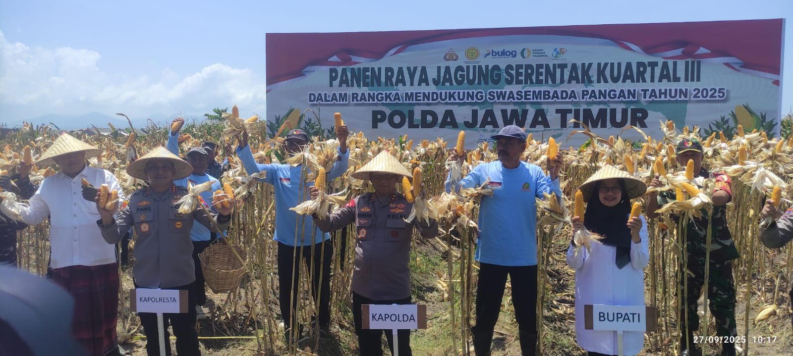 Surplus Pangan Terjaga, Kapolda Jatim dan Bupati Ipuk Panen Jagung Serentak di Banyuwangi