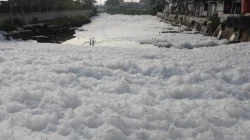 Sungai Kalisari Damen Berselimut Busa, Menunggu Tindakan Konkret Pemkot Surabaya