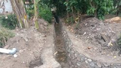 Plt. Kadis PUBMSDA Jember Tak Tahu Menahu Soal Proyek Irigasi Di Rambipuji