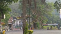 Sejumlah Pohon Tua Berpotensi Tumbang Bahayakan Pengunjung Telaga Saranagan