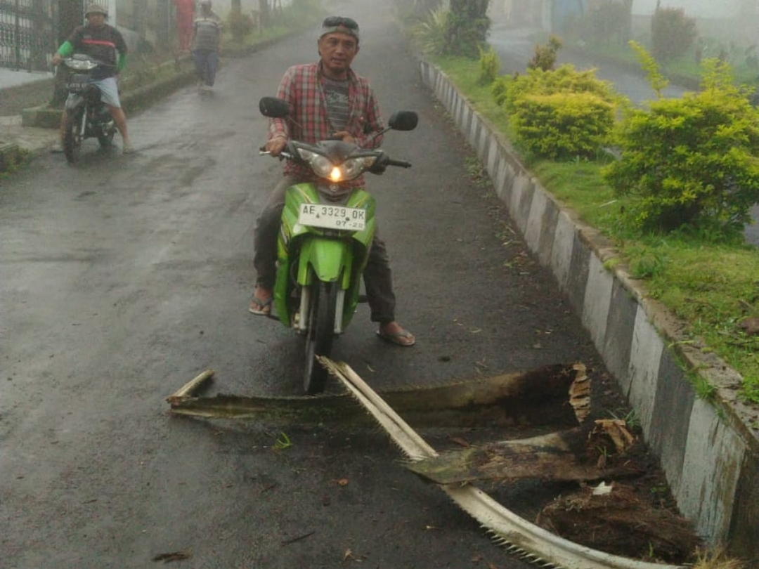 Pohon Tua Jalan Masuk Sarangan Menimpa Warga Yang Melintas