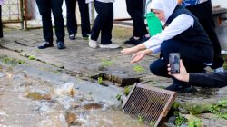 Tinjau IPB Puntem Batu, Gubernur Khofifah Siap Kembangkan Budidaya Ikan Mas Secara Masif  Tinjau IPB Puntem Batu, Gubernur Khofifah Siap Kembangkan Budidaya Ikan Mas Secara Masif