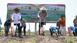 Dukung Program Presiden Prabowo, Produksi Jagong Banyuwangi Tembus 199Ribu Ton