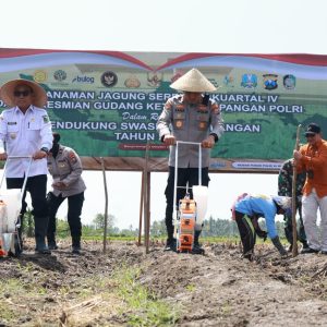 Dukung Program Presiden Prabowo, Produksi Jagong Banyuwangi Tembus 199Ribu Ton