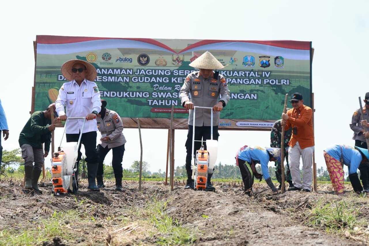 Dukung Program Presiden Prabowo, Produksi Jagong Banyuwangi Tembus 199Ribu Ton