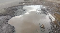 Baru Sebulan Selesai Perbaikan Jalan Provinsi Puger +Rambipuji Telan Biaya Rp.15 Milyar Kembali Berlubang