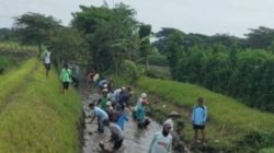 Program Padat Karya Dinas Pekerjaan Umum Pengairan Banyuwangi Tahun 2025 Memperkuat Layanan Irigasi Program Padat Karya Dinas Pekerjaan Umum Pengairan Banyuwangi Tahun 2025 Memperkuat Layanan Irigasi