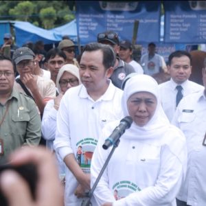 Gubernur Jatim Hadiri Gerakan Serentak Inseminasi Buatan 2025 di Jember