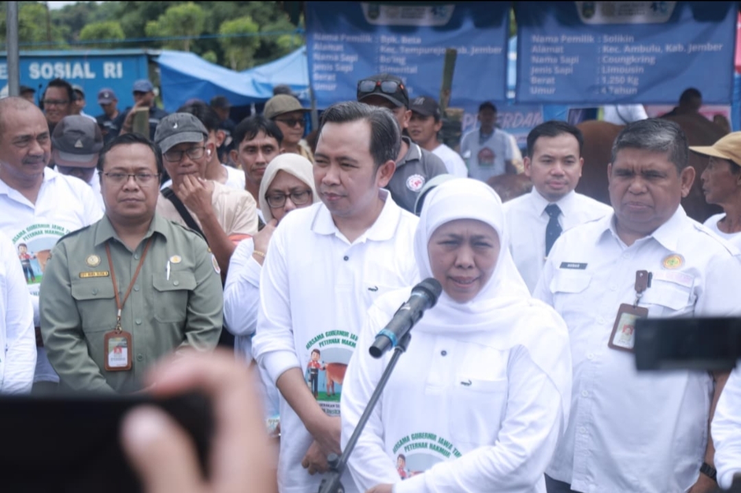 Gubernur Jatim Hadiri Gerakan Serentak Inseminasi Buatan 2025 di Jember