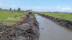 OPLAH 2025 Jadikan Jember Lumbung Pangan Utama di Jawa Timur OPLAH 2025 Jadikan Jember Lumbung Pangan Utama di Jawa Timur