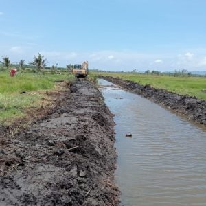 OPLAH 2025 Jadikan Jember Lumbung Pangan Utama di Jawa Timur