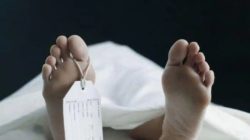 Dugaan Sopir Meninggal Di Pabrik Semen di Kecamatan Puger, Gimana Kronologinya?