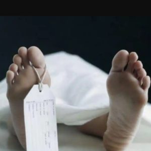 Dugaan Sopir Meninggal Di Pabrik Semen di Kecamatan Puger, Gimana Kronologinya?