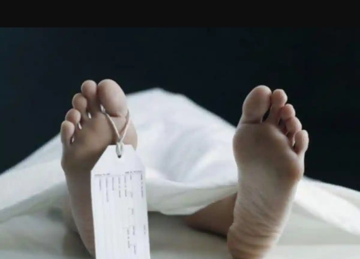 Dugaan Sopir Meninggal Di Pabrik Semen di Kecamatan Puger, Gimana Kronologinya?