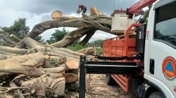 Mas Dhito Perintahkan BPBD dan Desa Siaga 24 Jam Antisipasi Banjir dan Longsor di Kediri Mas Dhito Perintahkan BPBD dan Desa Siaga 24 Jam Antisipasi Banjir dan Longsor di Kediri