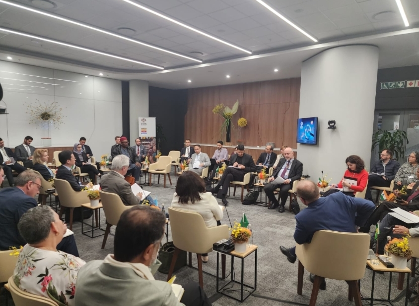 Indonesia dan Negara Berkembang G20 Solid Dukung Presidensi Afrika Selatan