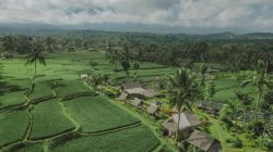 Hadirkan Ijen Golden Route, Banyuwangi Kenalkan Destinasi Hidden Gem Seputar Kaki Ijen      