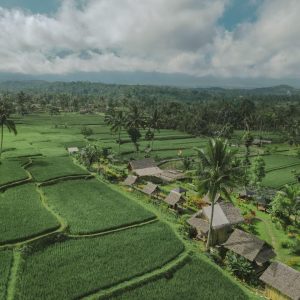 Hadirkan Ijen Golden Route, Banyuwangi Kenalkan Destinasi Hidden Gem Seputar Kaki Ijen      
