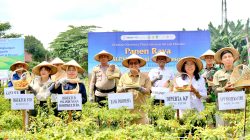 Bank Indonesia Kediri Dorong Petani Kendalikan Inflasi Cabai dengan Budidaya Off Season Ramah Lingkungan Bank Indonesia Kediri Dorong Petani Kendalikan Inflasi Cabai dengan Budidaya Off Season Ramah Lingkungan