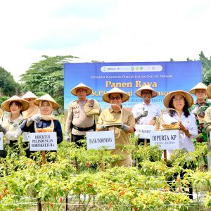 Bank Indonesia Kediri Dorong Petani Kendalikan Inflasi Cabai dengan Budidaya Off Season Ramah Lingkungan