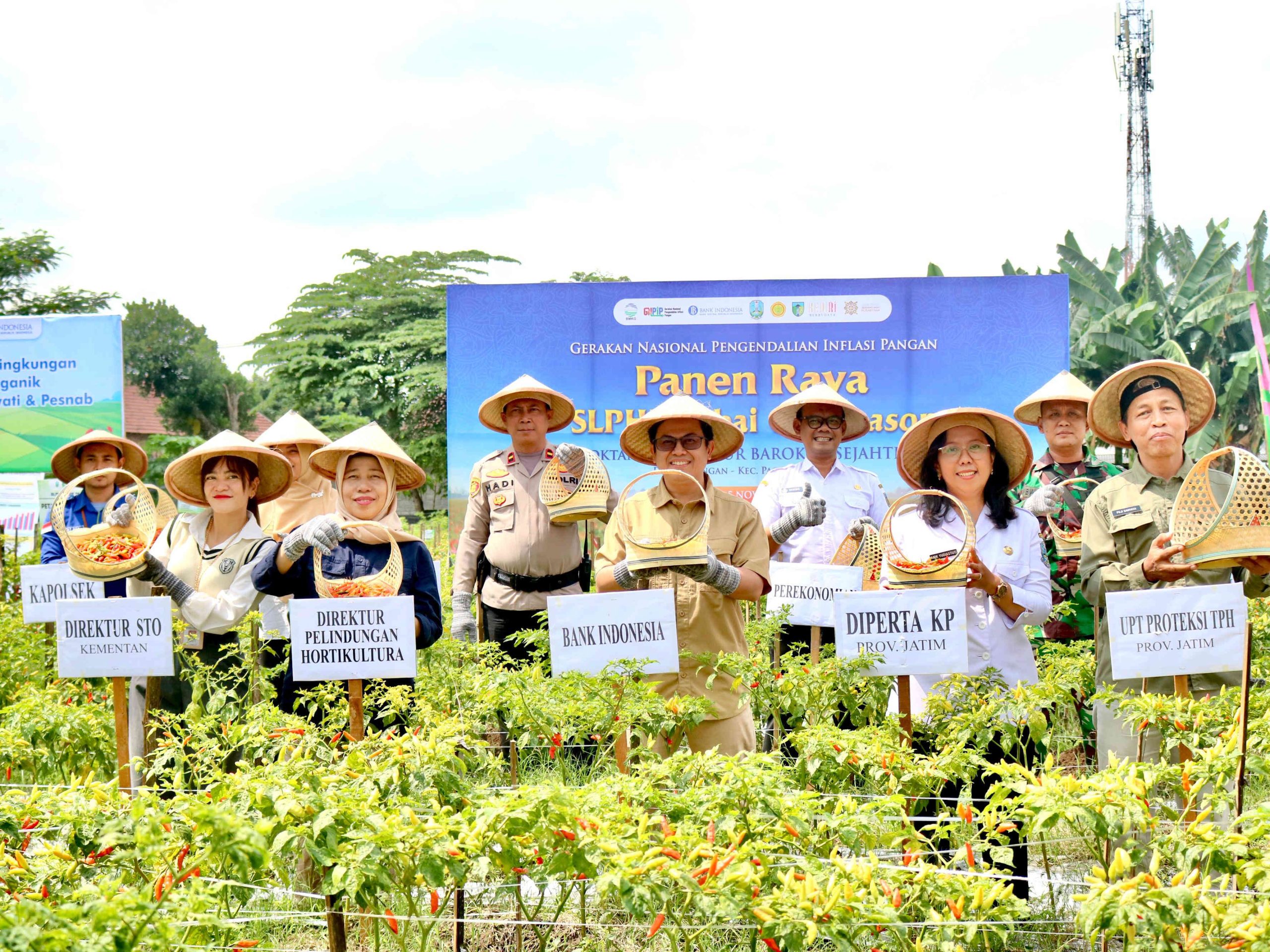 Bank Indonesia Kediri Dorong Petani Kendalikan Inflasi Cabai dengan Budidaya Off Season Ramah Lingkungan