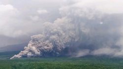 Awas ! Gunung Semeru Erupsi Disertai Luncuran Awan Panas Sejauh 7 kilometer