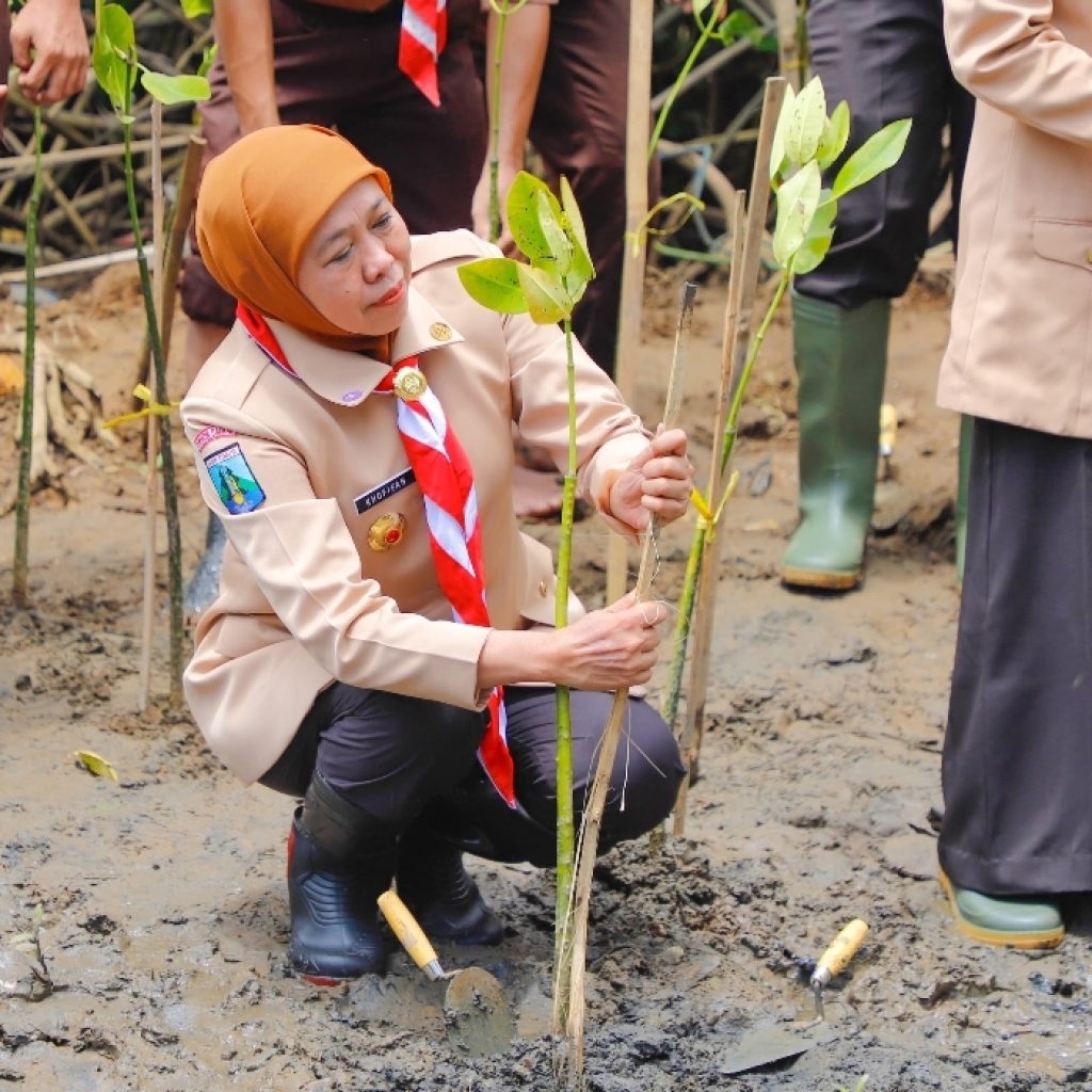 Gubernur Khofifah Nandur Mangrove Bareng 3.000 Pramuka Jatim Hingga Program RTLH Perkemahan Wirakarya