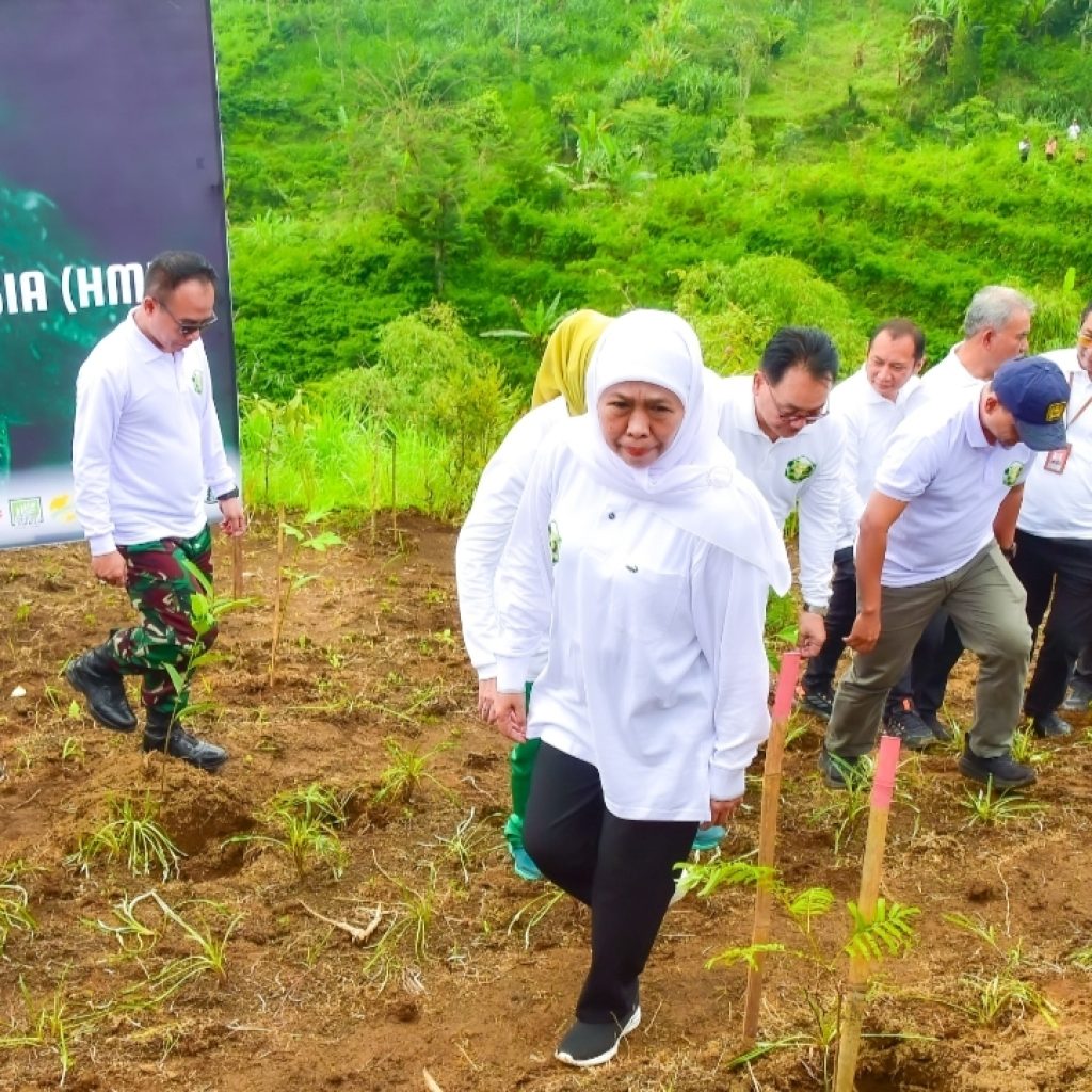 Peringati Hari Tanam Pohon Indonesia, Gubernur Khofifah Tanam 5000 Bibit Pohon di Lumajang