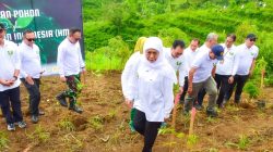 Peringati Hari Tanam Pohon Indonesia, Gubernur Khofifah Tanam 5000 Bibit Pohon di Lumajang