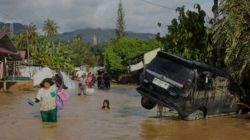 Khawatir Terjadi Banjir Besar ,Warga Jember Kritisi Alih Fungsi Perkebunan Karet Jadi Kebun Tebu