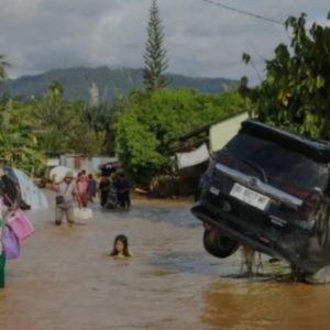 Khawatir Terjadi Banjir Besar ,Warga Jember Kritisi Alih Fungsi Perkebunan Karet Jadi Kebun Tebu