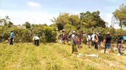 Puluhan Warga Desa Kepanjen Jember Demo Pembangunan Koperasi Desa Merah Putih