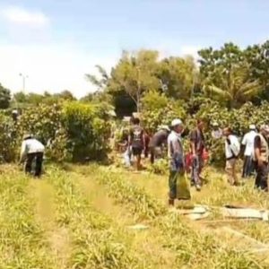 Puluhan Warga Desa Kepanjen Jember Demo Pembangunan Koperasi Desa Merah Putih