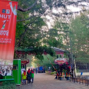 Pengunjung Kebun Raya Mangrove Alami Tren Peningkatan