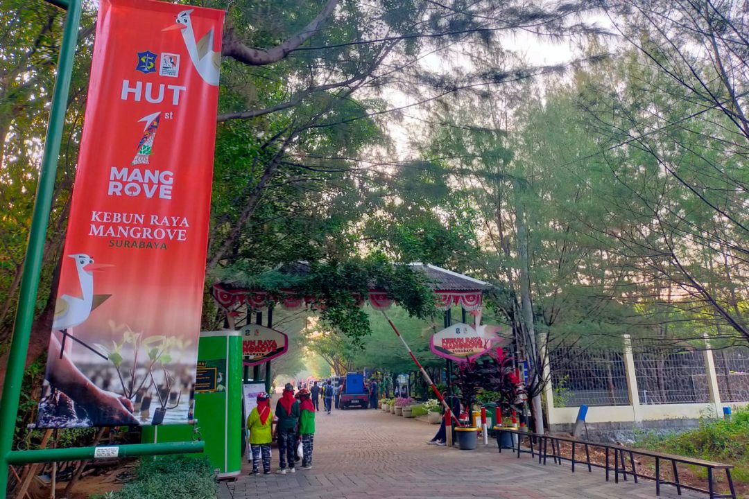 Pengunjung Kebun Raya Mangrove Alami Tren Peningkatan