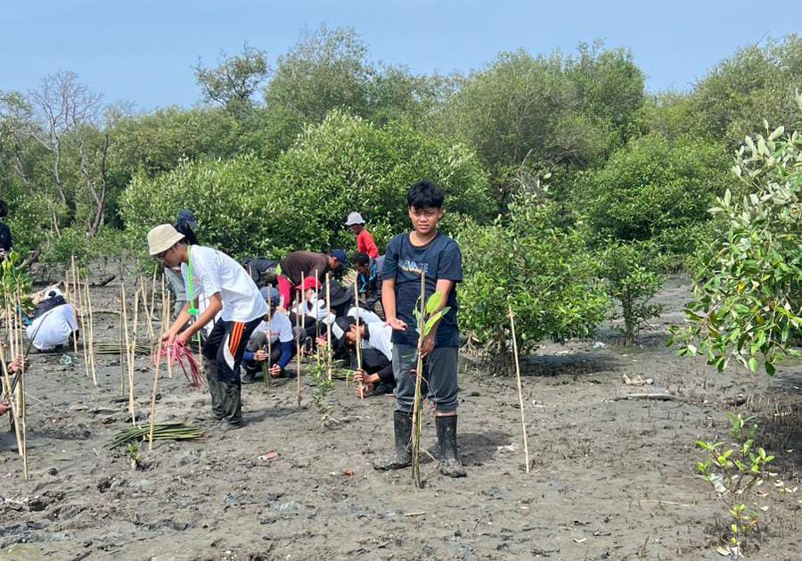 Pelajar SMP Surabaya Menjadi Inisiator Gerakan Konservasi Mangrove Warrior