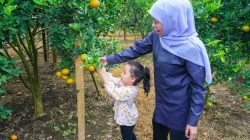 Kunjungan Wisatawan ke Jatim Selama Libur Lebaran Capai 5,31 juta Kunjungan Wisatawan ke Jatim Selama Libur Lebaran Capai 5,31 juta