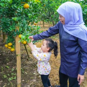 Kunjungan Wisatawan ke Jatim Selama Libur Lebaran Capai 5,31 juta