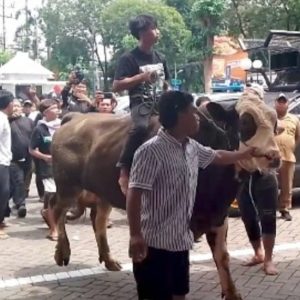 Mitra Jagal Luruk DPRD Surabaya Tolak Relokasi RPH Pegirian, Pimpinan Dewan Tekankan Dialog