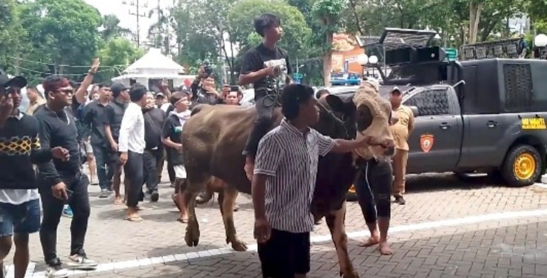 Mitra Jagal Luruk DPRD Surabaya Tolak Relokasi RPH Pegirian, Pimpinan Dewan Tekankan Dialog