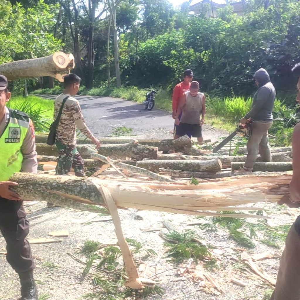 Ada Pohon Tumbang Disekitar Anda, Hubungi Nomor Call Center Berikut Ini